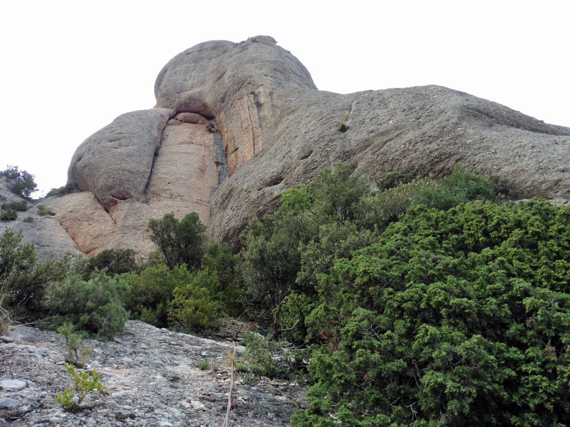 Colorantes Permitidos A LElefantet Montserrat Roca Calenta