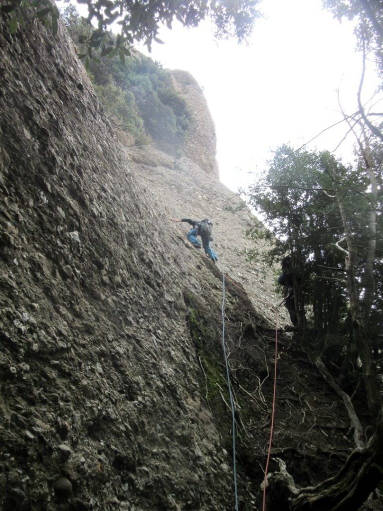 Normal Al Talp Montserrat Roca Calenta