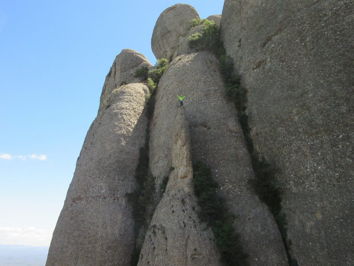 Carquinyoli (Foto: Carles)