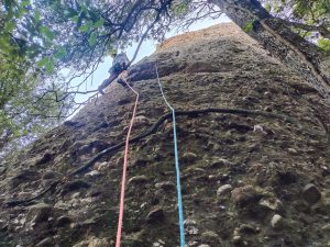 Cerdà-Cervera al Martell