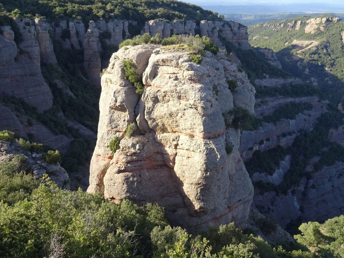 Paller de les Fogueroses