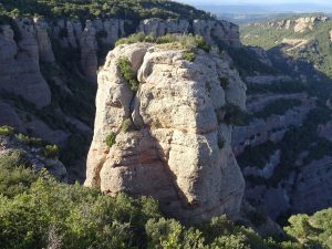Paller de les Fogueroses