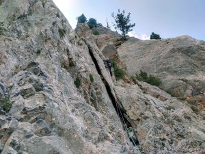 Bonica fissura del quart llarg