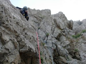 Bavaresa del setè llarg (Foto: Martí)