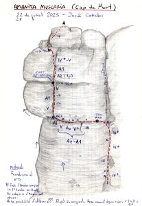 Ressenya de Martí Borràs