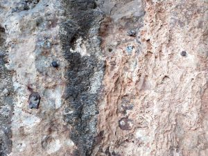 Antiga reunió menjada per l'òxid