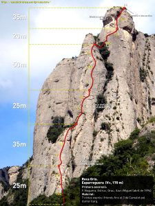 Ressenya d'escalatroncs