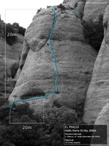 Ressenya d'escalatroncs