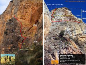 Ressenya d'escalatroncs