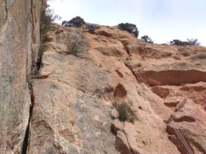 Variant de la mitja Lluna