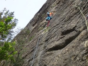 Primer llarg (Foto: Cesc)