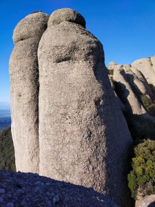 Vistes de la Savina Inferior