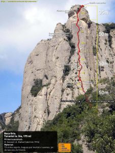 Ressenya d'escalatroncs modificada