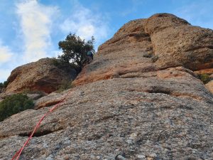 Primer llarg (Foto: Quicu)