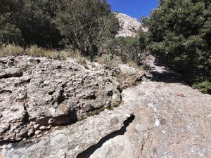 Primer llarg (l'hem fet desencordats)