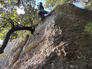 Primer llarg