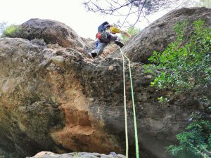Primer llarg
