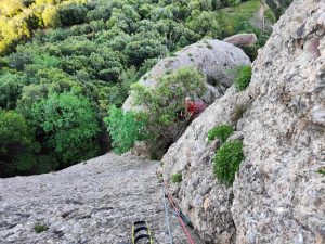 Segon llarg