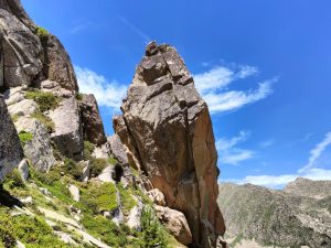 Arribant a l'agulla