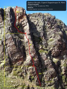 Ressenya d'escalatroncs